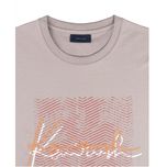 تی شرت آستین کوتاه مردانه مدل SB-SS-2167-D1