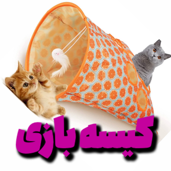 کیسه بازی ( وارداتی)