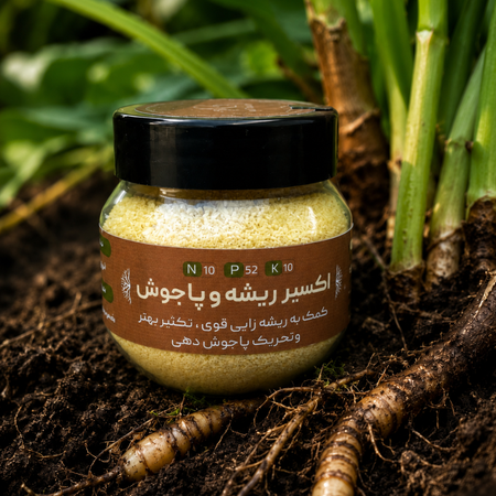 اکسیر ریشه و پاجوش