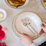 سرویس غذاخوری 35 پارچه چینی زرین ایران سری شهرزاد مدل رومینا درجه عالی