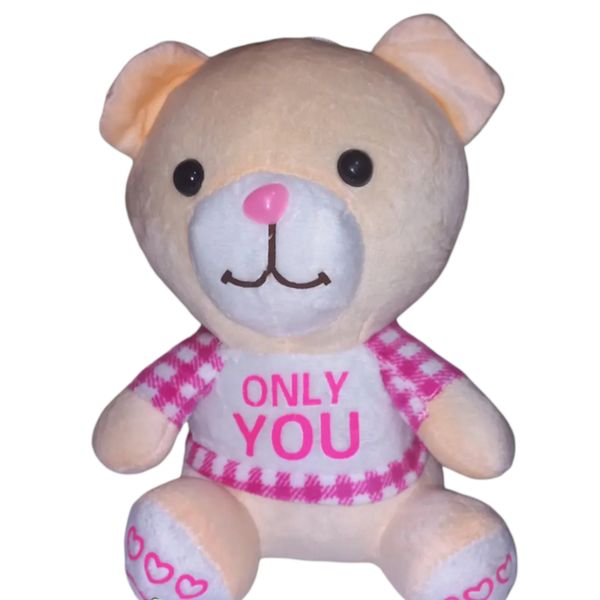 عروسک مدل خرس only you ارتفاع 22 سانتی متر