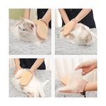 پرزگیر موی حیوانات مدل دستکش دو طرفه D2-P