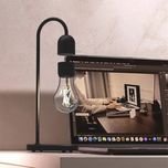 چراغ خواب معلق