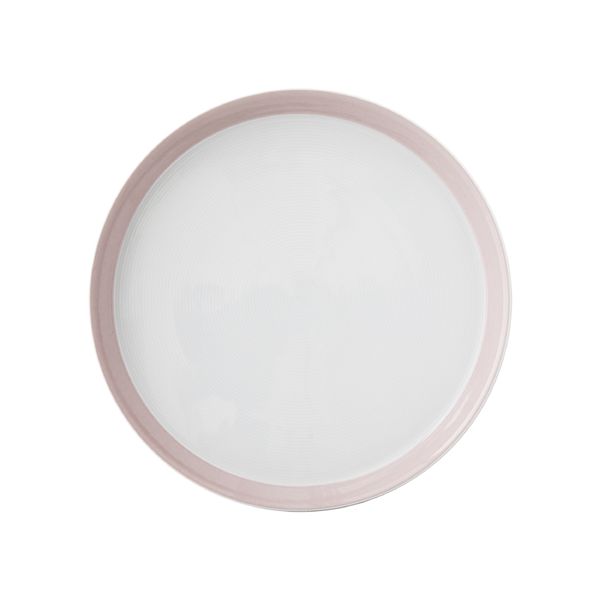 بشقاب غذاخوری زی مدل فرم اس کد  24 پاستل درجه عالی بسته شش عددی	