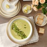 پیش دستی زی مدل فرم اس تخت کد 18 پاستل درجه عالی	بسته 6 عددی