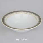 سرویس چینی 102 پارچه غذا خوری چینی زرین ایران سری ایتالیا اف مدل ویلیج درجه یک