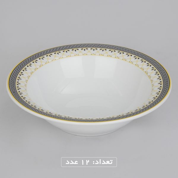 سرویس چینی 102 پارچه غذا خوری چینی زرین ایران سری ایتالیا اف مدل ویلیج درجه یک