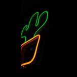 چراغ نئونی دیواری طرح کاکتوس*429