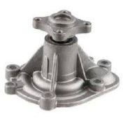 واتر پمپ دیگنیتی