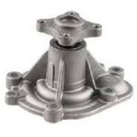 واتر پمپ دیگنیتی