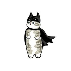 برچسب خودرو مدل گربه بتمنی