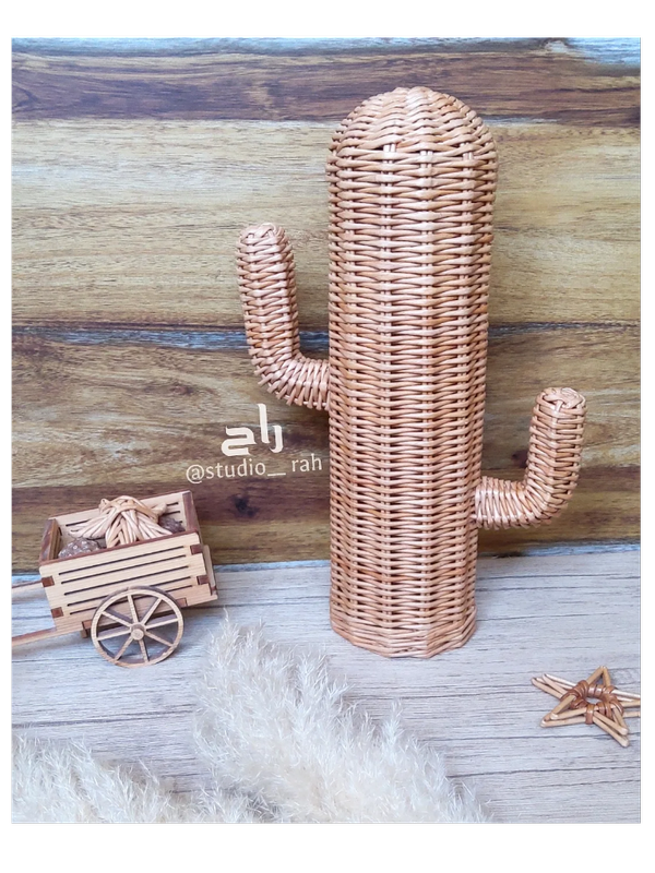 کاکتوس حصیری استودیو راح