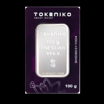 شمش نقره 100 گرمی توکنیکو