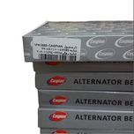 تسمه دینام پژو 405 کاسپین (6PK-1665)