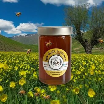 عسل گون یک کیلویی