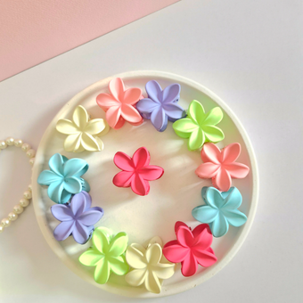 پلومریا شمعی کوچک