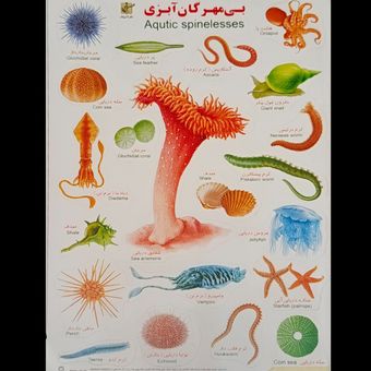 برچسب مدل حیوانات کد 6