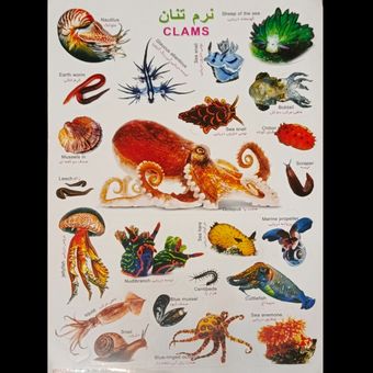 برچسب مدل حیوانات کد 7