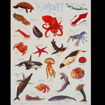 برچسب مدل حیوانات کد 8