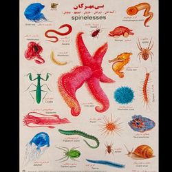 برچسب مدل حیوانات کد 9