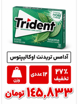 آدامس تریدنت نعناع 12 عددی