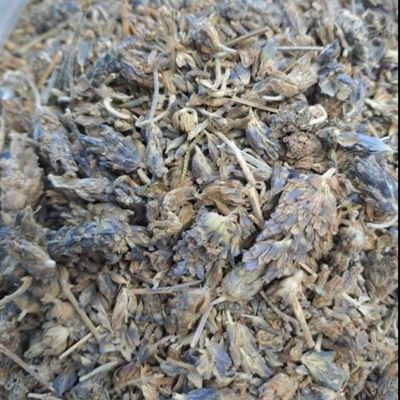 اسطوخودوس به سین