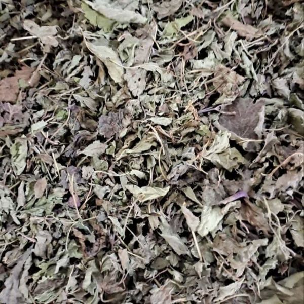 بادرنجبویه به سین