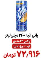 رانی انبه 240 میل باکس 24 عددی
