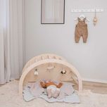 ارکوپیکلر (تاب و راکر کودک )