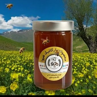 عسل کوهی یک کیلویی