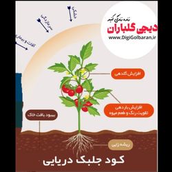 کود جلبک دریایی کیمیا