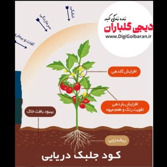 کود جلبک دریایی کیمیا