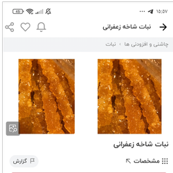 نبات شاخه فله