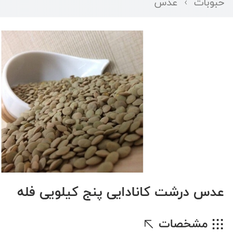 عدس درشت فله