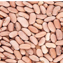 لوبیا فله ایرانی