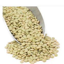 عدس فله کانادائی درجه 1 فله