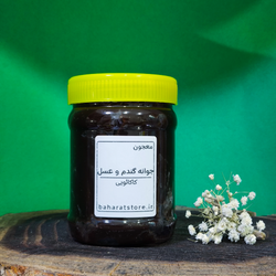 معجون جوانه گندم و عسل کاکائویی | تقویت‌کننده طبیعی با طعمی دلپذیر