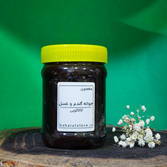 معجون جوانه گندم و عسل کاکائویی | تقویت‌کننده طبیعی با طعمی دلپذیر