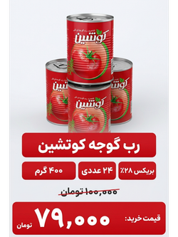 کنسرو رب گوجه 400 گرم 24 عددی