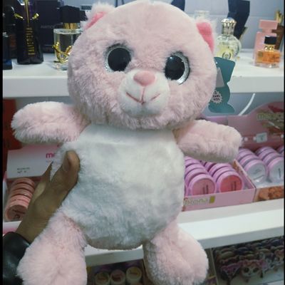 گربه چشم تیله ای صورتی