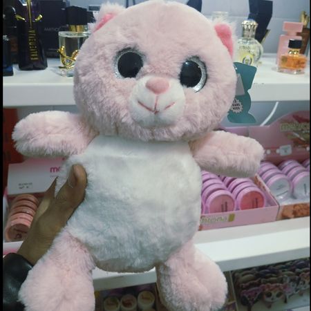 گربه چشم تیله ای صورتی