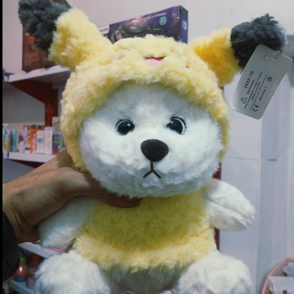 پوکیمون خرسی