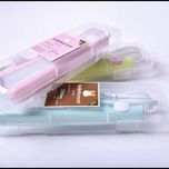 اتومو مسافرتی فانتزی