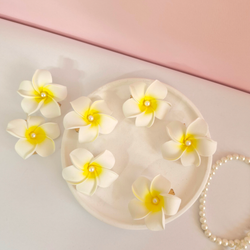 پلومریا فومی