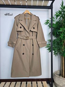 بارونی رونیکا