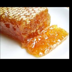 عسل با موم کوهستان