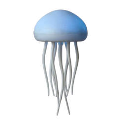 چراغ خواب عروس دریایی