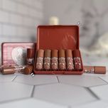 پک رژ مایع خرسی کالر کاستل 6 عددی