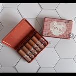 پک رژ مایع خرسی کالر کاستل 6 عددی