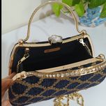 کیف دامنی مجلسی